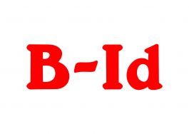 B-ID GmbH & Co KG
