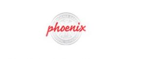 Phoenix Safe Deutschland GmbH