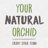 Your Natural Orchid - Stolk Flora