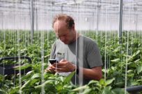 Discover our new Crop-Scanner™ for digitalizing IPM decision-making (Session 23/01: English - Session 24/01: German)