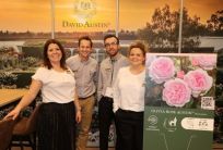 What's new at David Austin Roses for growers and retailers