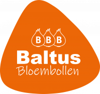 BALTUS Bloembollen B.V.