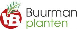 Buurman Pflanzen Niederrhein GmbH