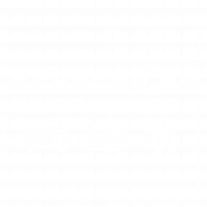 Denkers Shipping B.V. The Logistics Designers