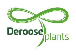 Deroose Plants Exotic Plants
