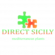 Direct Sicily