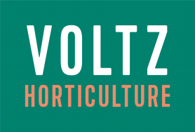 Graines Voltz - Voltz Horticulture