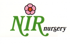 Nir Nursery