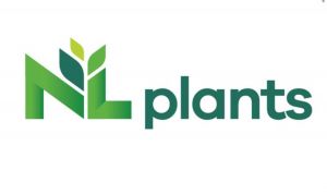 NL Plants BV