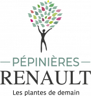 Pepinieres Renault
