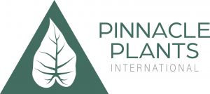 Pinnacle Plants International c/o Stourbank Nursery