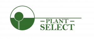 Plant Select nv