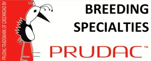 Prudac Specialty Breeding Greenroad BV