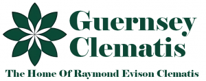 Raymond Evison Clematis The Guernsey Clematis Nursery