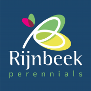 Rijnbeek  Perennials 