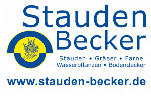 Stauden Becker GmbH