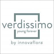 VERDISSIMO FOREVER YOUNG S.A