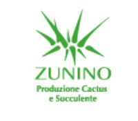 Zunino Cactus