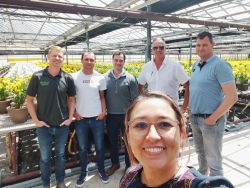 Mprise Agriware starts ERP implementation at Homestead Growers & Amerigo Farms