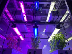 DH Licht presents the xFactory from ROKO Farming