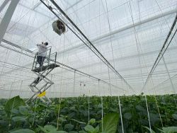 Services for everything related to greenhouses