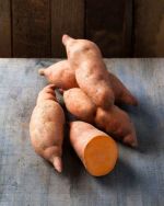 'Erato® Vineland'  Süßkartoffeln speziell für nördliche Anbaugebiete