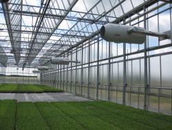 Greenhouse Airheaters