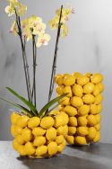 LIMONA Zitronen-Übertöpfe