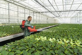 Akku-Sprühgebläse AS 1200 mit CAS-Akku ermöglicht ein neues Sprühverfahren im Pflanzenschutz