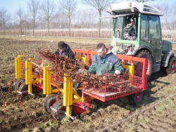 Tree planting machine PL-10