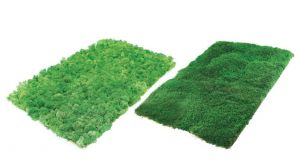 Preserved lichen - flat moss panels