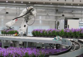 Robotik im Gartenbau