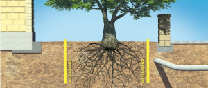 Root barrier