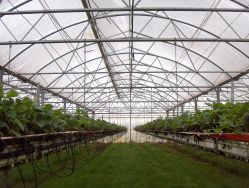 Rovero film greenhouses
