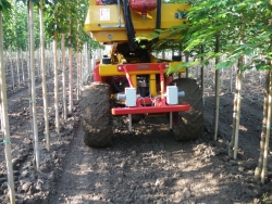 Pruning platform with automatic steering