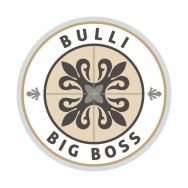 Bulli Big Boss Julia & Marc Dunkel