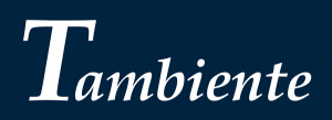 Tambiente - Ihr Urlaubsmagazin W & L multimedia solutions Gmbh