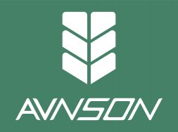 Avnson GmbH